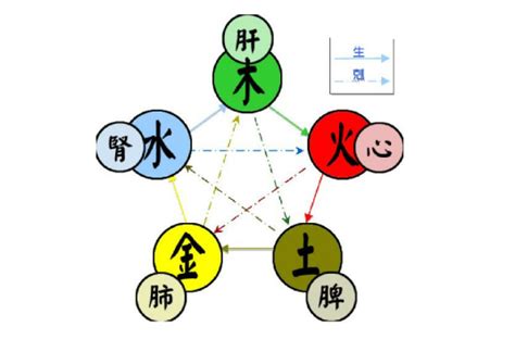 五行屬金水|五行（对万事万物的取象比类）